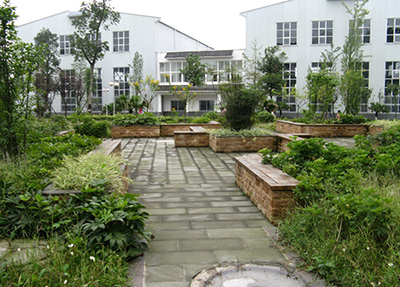 學校花園