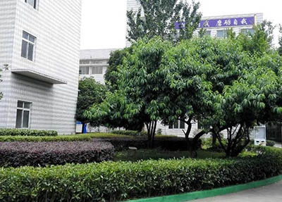 重慶市第三衛生學校